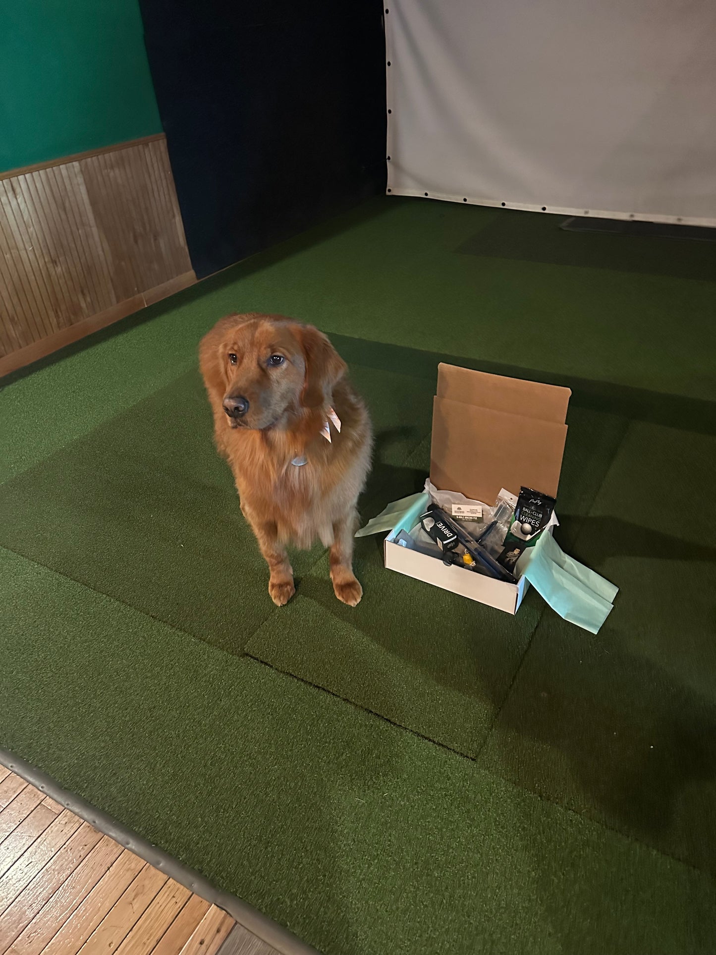 Conan’s Puppy + Golf Box